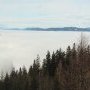 (c) WS_2010-01-01