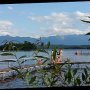 Badende am Staffelsee